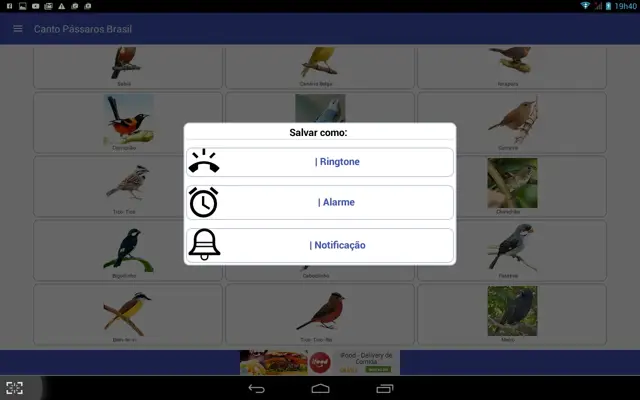 Canto de PÃ¡ssaros B android App screenshot 2