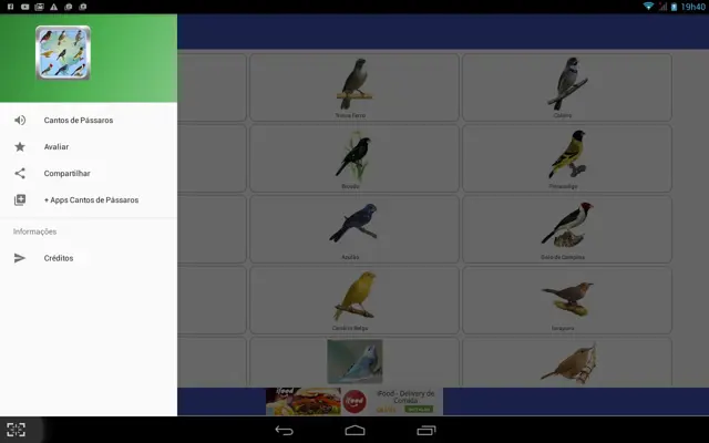 Canto de PÃ¡ssaros B android App screenshot 3