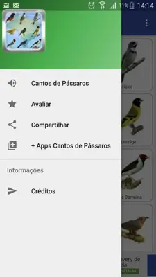 Canto de PÃ¡ssaros B android App screenshot 4