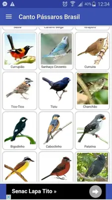 Canto de PÃ¡ssaros B android App screenshot 7
